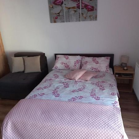 Apartman Moka Баня-Ковиляча Экстерьер фото